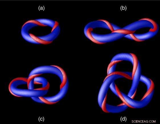 Magnetic Skyrmion Knots Provide Evidence for Kelvin s Vortex Atom Theory