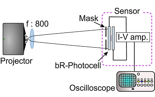 Advanced Robotic Vision Sensors Leveraging Light‑Sensitive Bacterial Proteins