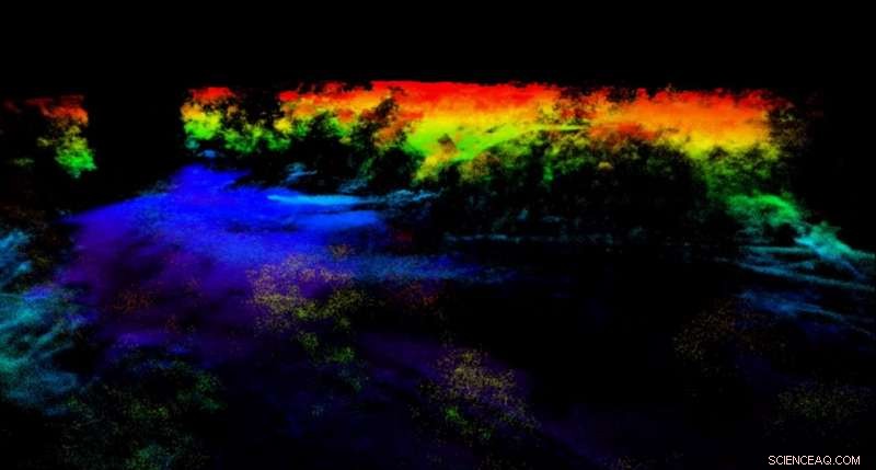 Advanced LiDAR System Pierces Dense Foliage for Clear Forest Mapping