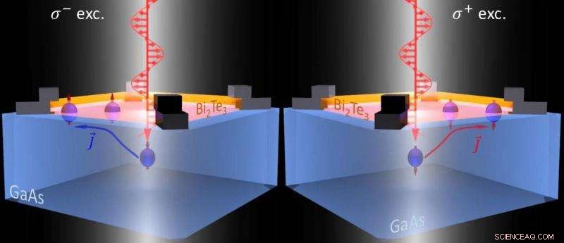 Spin-Polarized Electrons Pave the Way for Next-Generation Hybrid Electronics