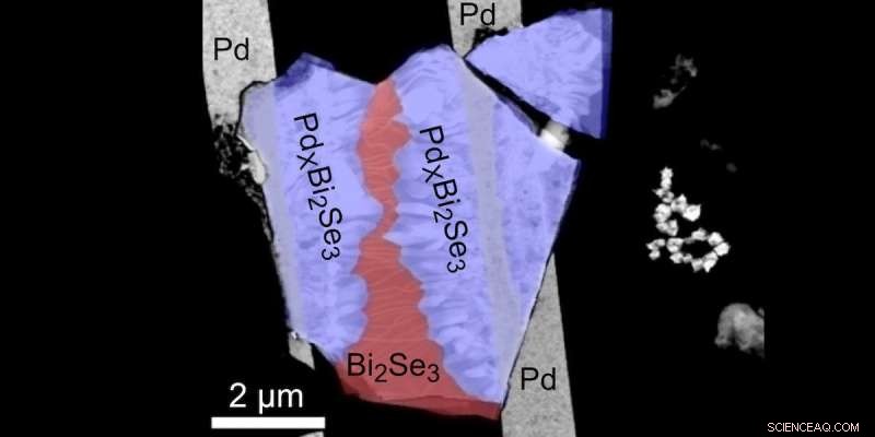 New Quantum Computing Approach Promises Greater Stability and Scalability, Physicists Report