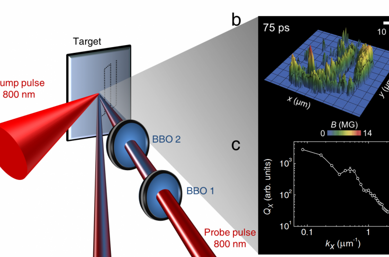 Table Top Plasma Experiments Uncover Solar Like Turbulence
