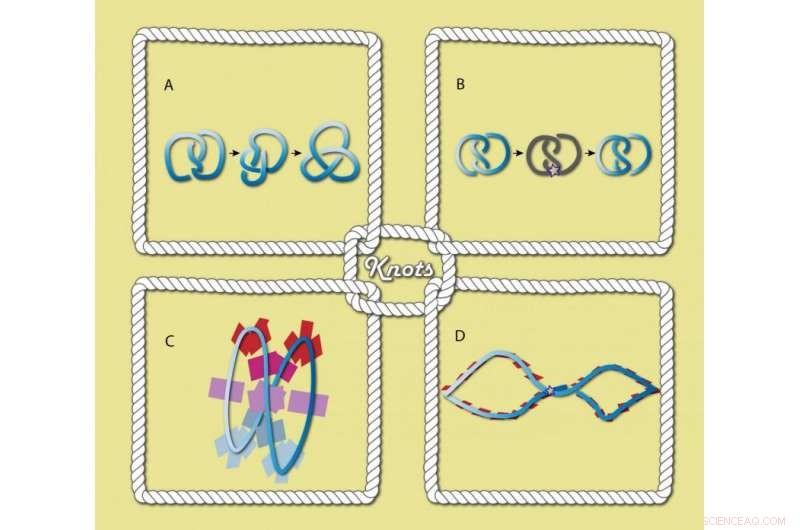 Sorting Complex Knots: Techniques & Insights for Advanced Applications