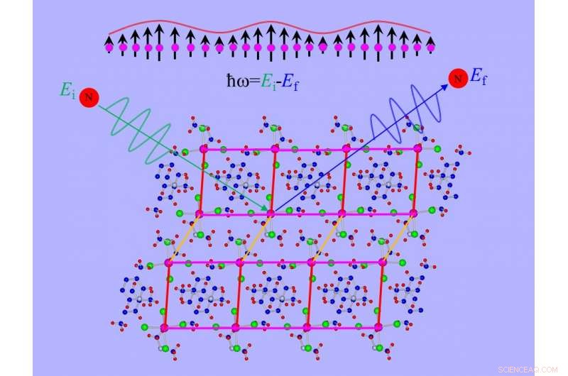 Neutron Experiments Uncover Higgs Amplitude Mode in Quantum Material