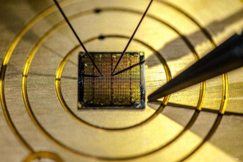 Quantum Technology: Paving the Way to a Counterfeit-Free Future