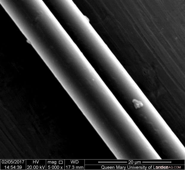 How Spiders Avoid Chaos While Rappelling: The Science of Dragline Silk