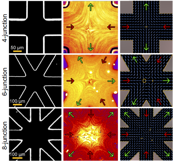 Stagnation Point Interaction: Linking Flow Dynamics and Molecular Orientation in Liquid Crystals