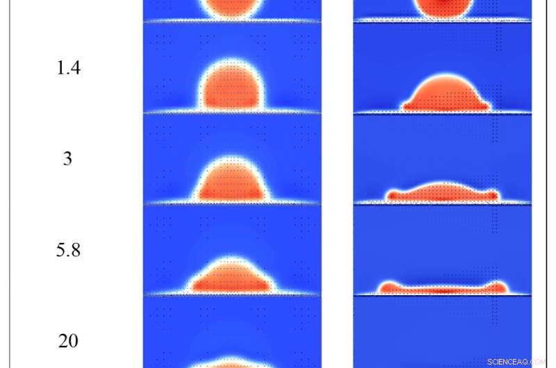 Microscopic Simulation of Spray Splash Dynamics