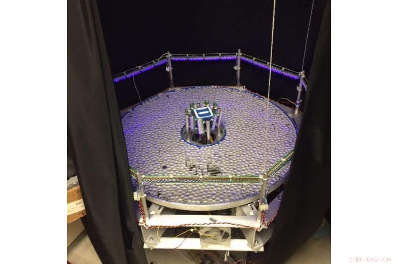 Real-Time Observation of Solid-to-Liquid Transitions in Granular Materials