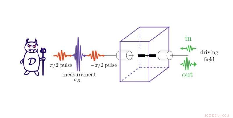 Quantum Maxwell’s Demon Demonstrates Work Extraction Through Measurement