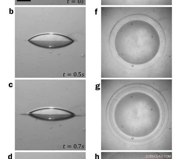 Electric Field Induces Saturn‑Like Ring Structures in Microscopic Fluid Droplets