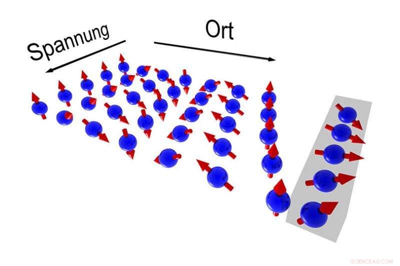 Precise Control of Electron Spins Without Losing Information