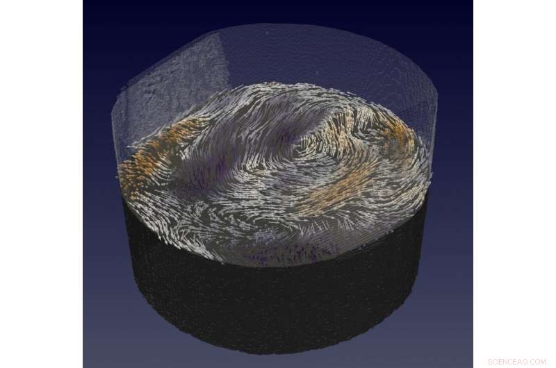 Pioneering 3‑D Magnetic Tomography Reveals Internal Patterns