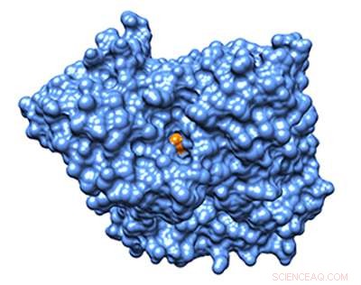 Microgravity Protein Crystals May Unlock New Nerve Agent Antidotes
