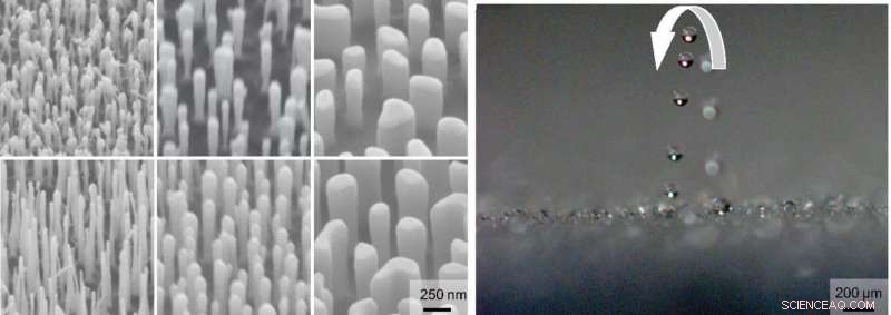 Tiny Dew Droplets: Research Turns Them Invisible with Nanopillar Technology
