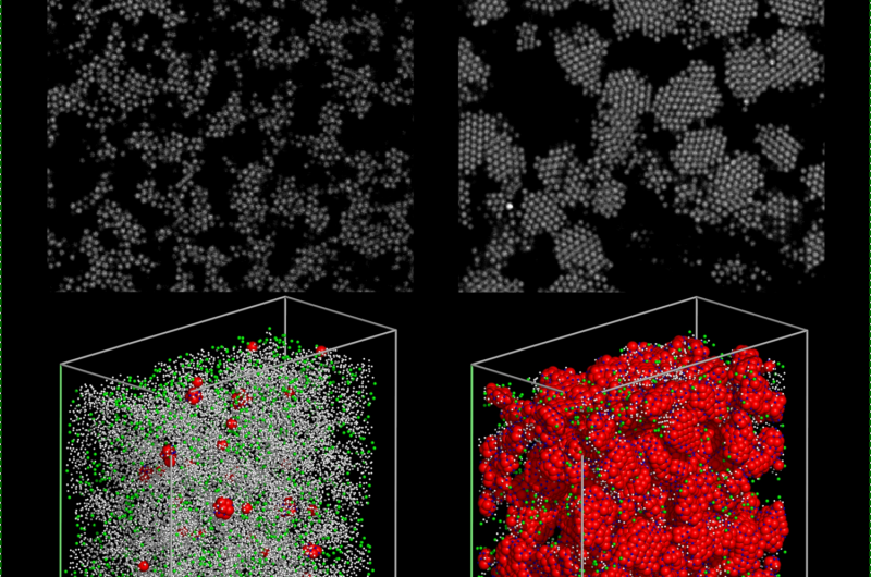 First Observation of Porous Crystal Formation Unveils New Material Insights