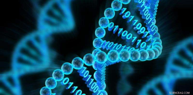 DNA Data Storage: Merging Nature with Digital Innovation