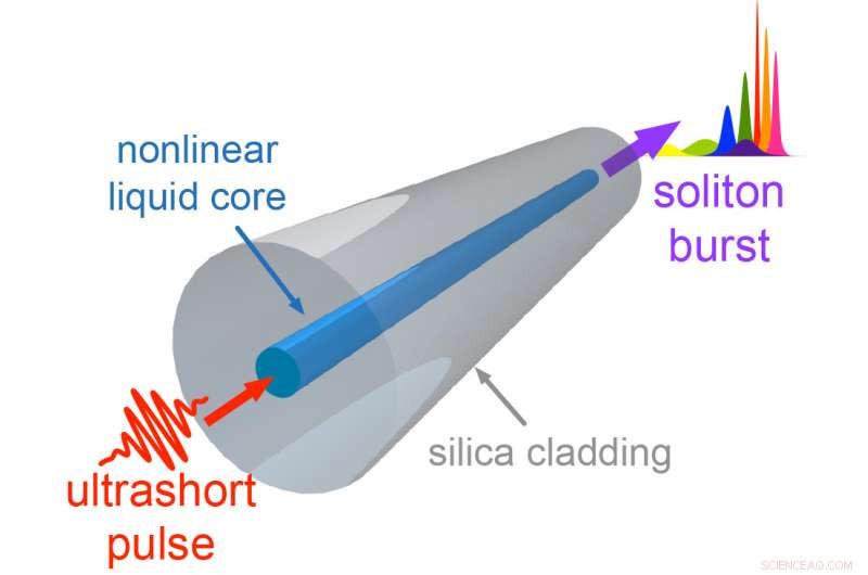 Broadband Mid-Infrared Light Sources Using Liquid-Core Optical Fibers
