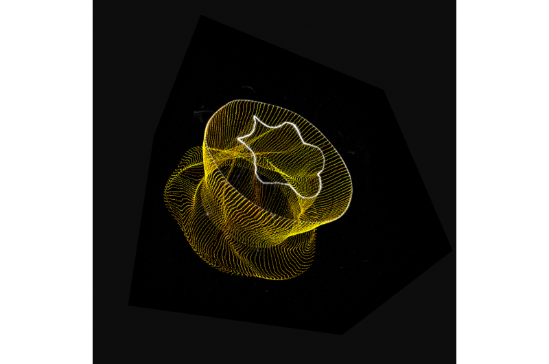 Laboratory Observation of Intertwining Vortices