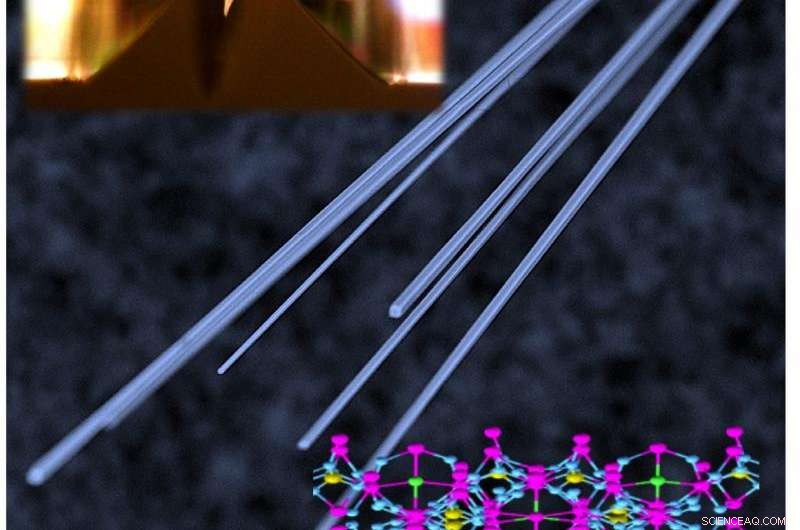 New Erbium‑Based Photonic Device Promises Breakthrough in Integrated Optics