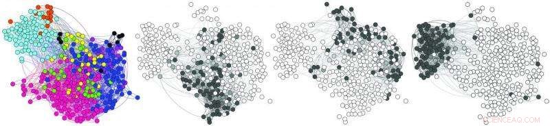 Unveiling a Cutting-Edge Tool for Multilayer Network Analysis