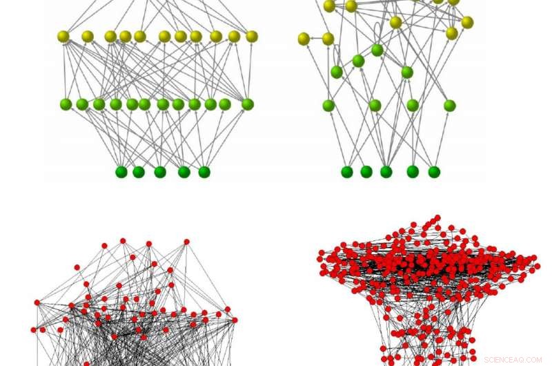 Trophic Coherence: The Key to Low Feedback Loops and High Stability in Networks