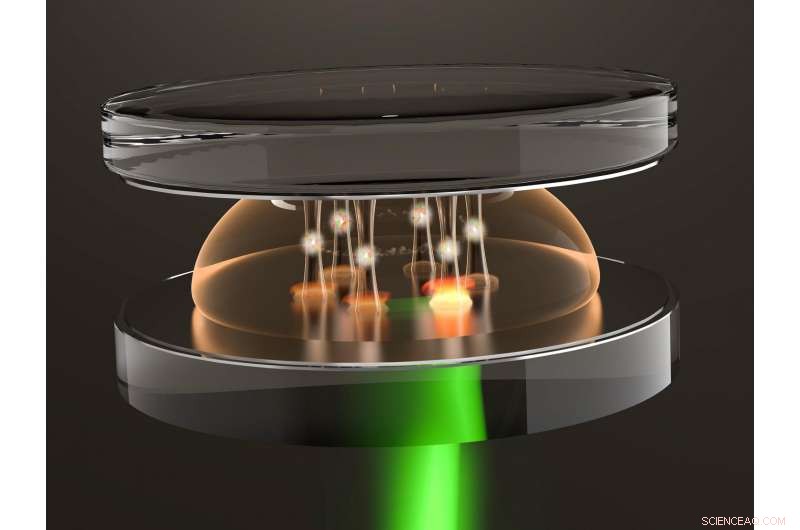 Harnessing Light to Engineer Exotic Quantum States