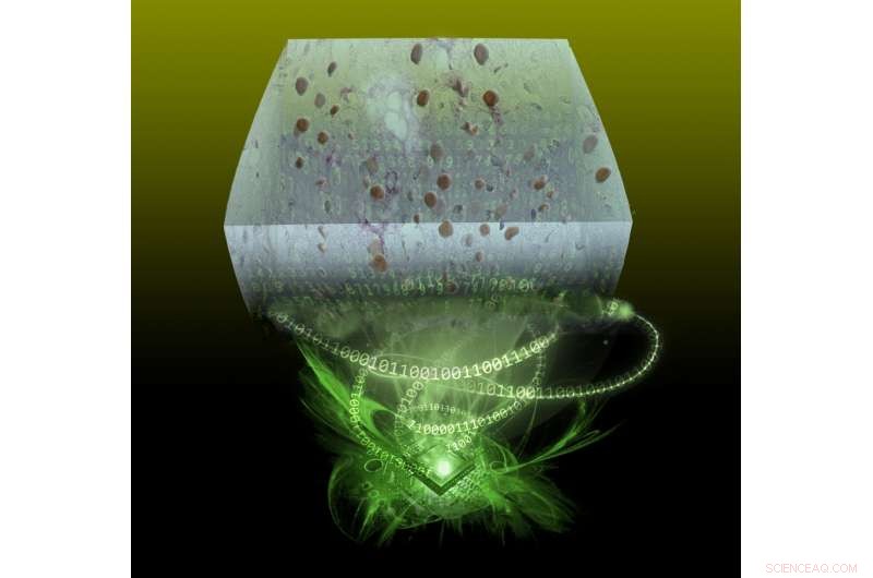 UCLA’s Hologram Imaging System Promises Faster, Affordable Chronic Disease Diagnosis in Remote Regions