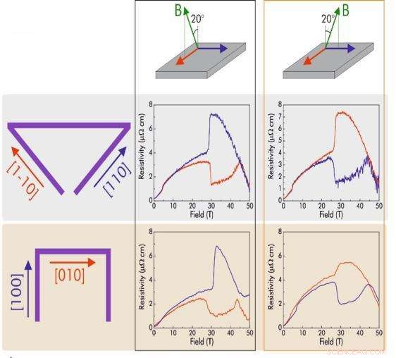 Superconductivity Research Unveils New State of Matter