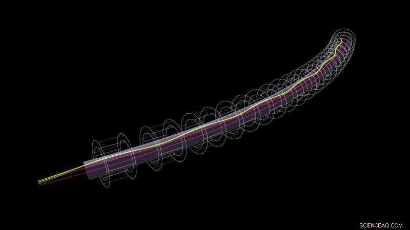 Fixed‑Field Accelerator Enables Multi‑Beam, Multi‑Energy Transport Through a Single Beam Pipe