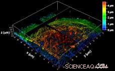 PB430: A Highly Photostable Fluorescent Label for Super‑Resolution Microscopy