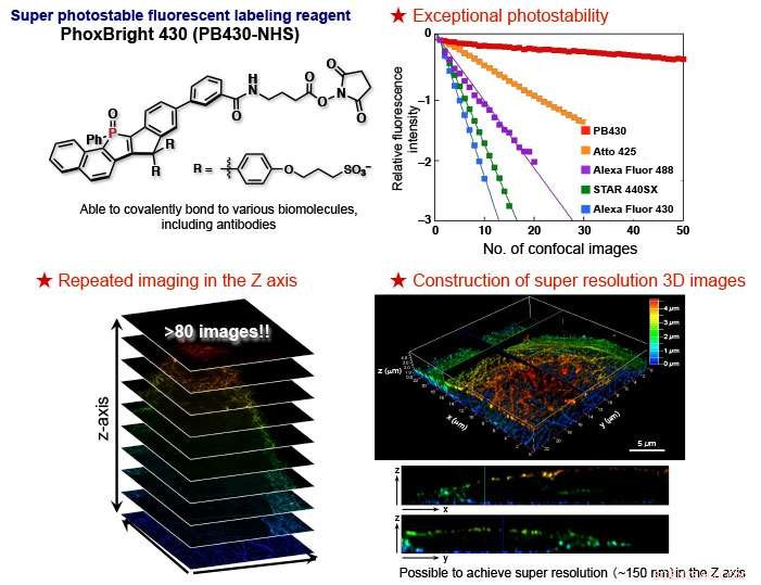 PB430: A Highly Photostable Fluorescent Label for Super‑Resolution Microscopy