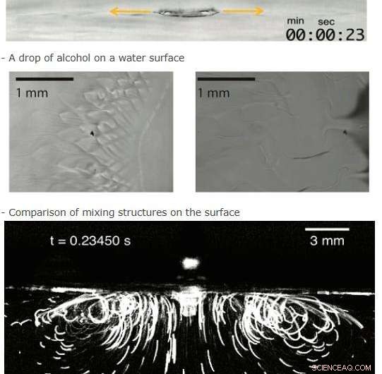 Solutal Marangoni Flows Propel Transport in Miscible Liquids Without Surface Contamination