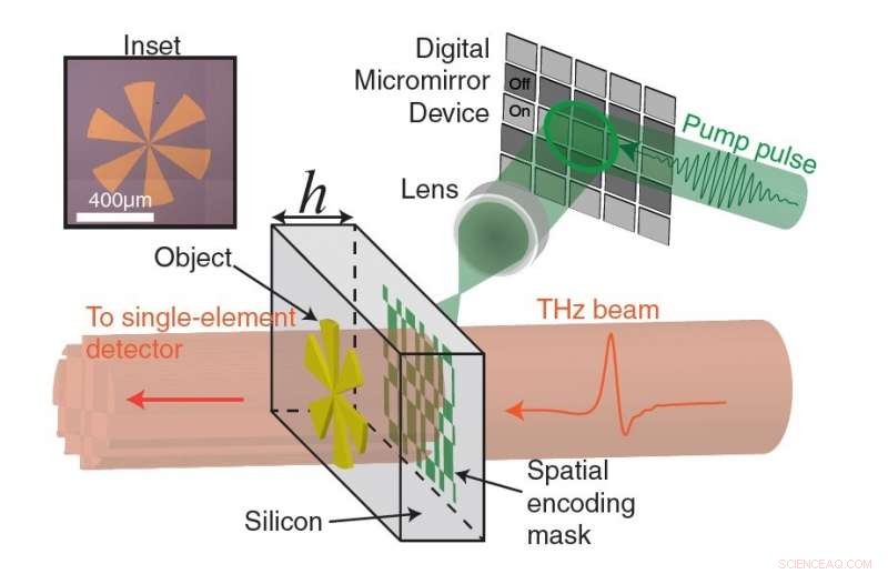 Revolutionary Terahertz Imaging Technique Accelerates Skin Cancer Diagnosis