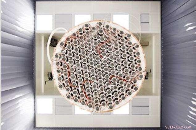 XENON1T: Leading the Global Search for Dark Matter