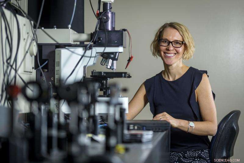 Scientists Pioneer New Frontier in Physics