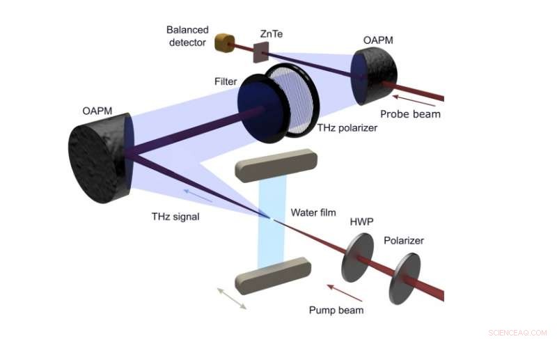 Scientists Confirm Liquid Water Generates Terahertz Waves, Defying Previous Assumptions