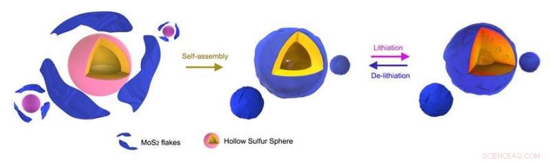 Real-Time TEM Insights Drive Superior Lithium‑Sulfur Battery Design