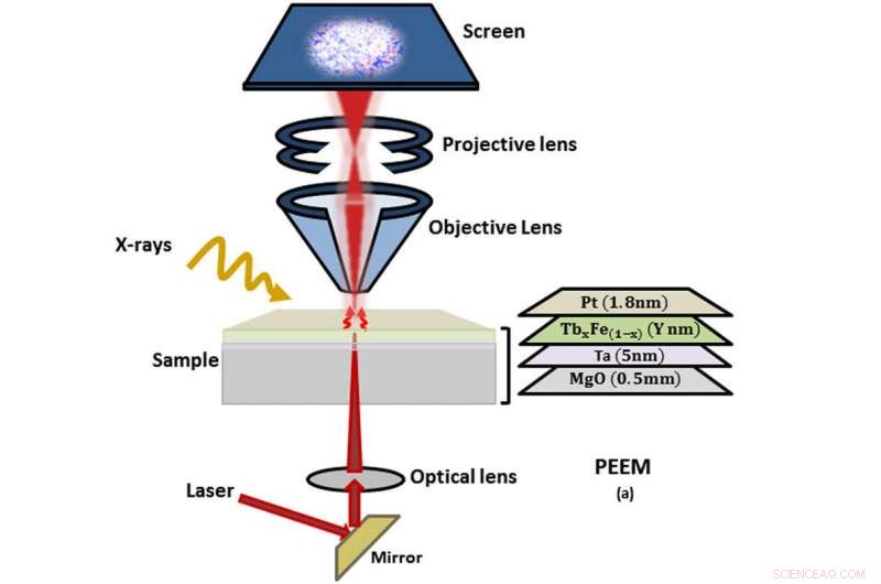 Optically Controlled Magnetic Memory: Unveiling Fundamental Mechanisms