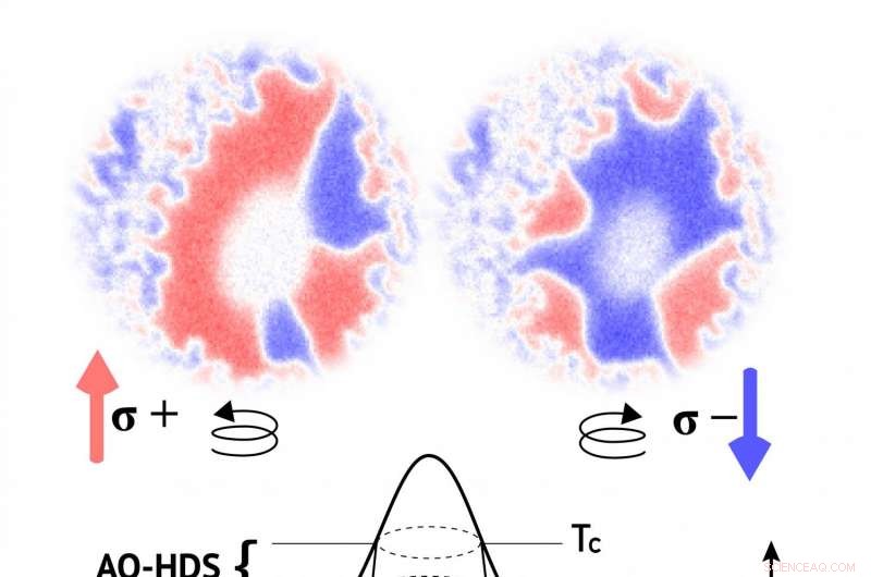Optically Controlled Magnetic Memory: Unveiling Fundamental Mechanisms