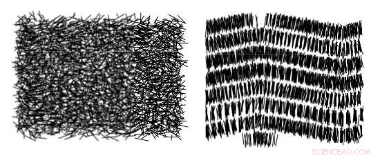 Advanced Techniques for Modeling Rare Events in Complex Systems