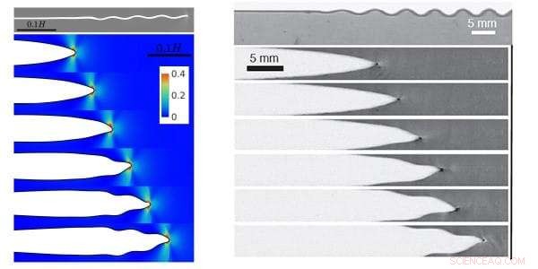 The Dynamics at a Crack’s Moving Edge: Insights into Fracture Mechanics