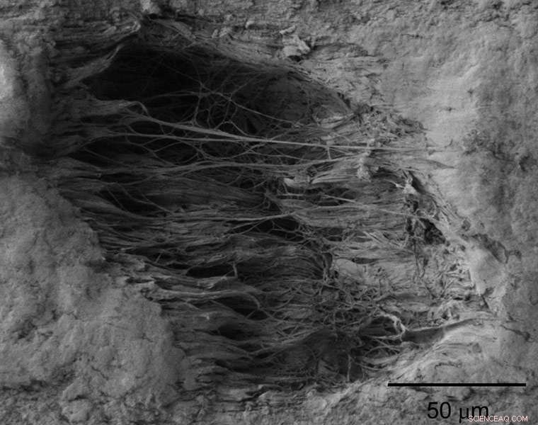 The Science Behind Balloon Hair Adhesion: Why Friction Causes Stickiness