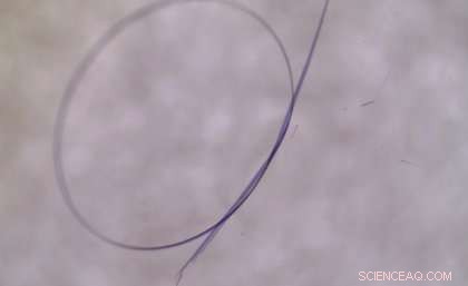 Bendable Crystals Challenge Conventional Wisdom