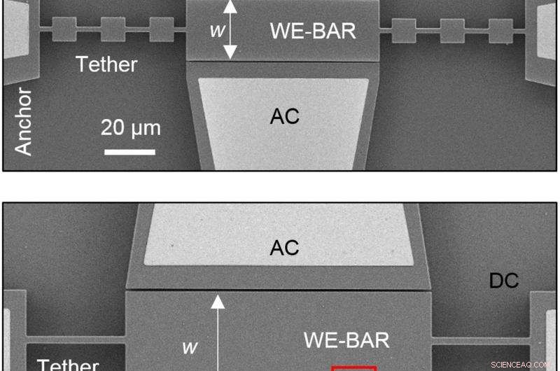 Innovative Micro‑Clock Resonator Design Echoes Bell‑Like Ringing