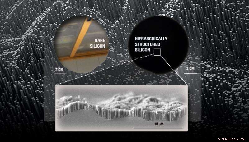 Engineered Micro- and Nanostructures Cut Reflectivity in Solar Cells and Optical Devices