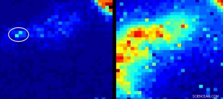 Revolutionary Medical Camera Delivers Real-Time Imaging Through Body Tissues