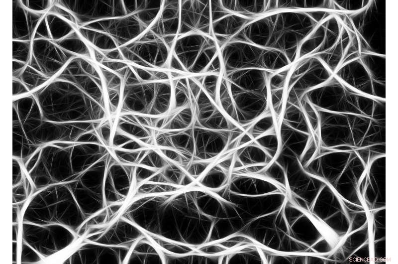 Entanglement: A Fundamental Feature of Reality