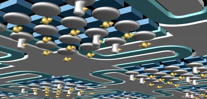 Innovative Flip‑Flop Qubits Pave the Way for Next‑Gen Quantum Computers