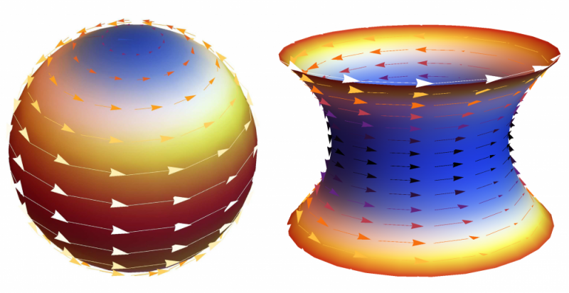 Researchers Uncover Flocking Patterns on Curved Surfaces